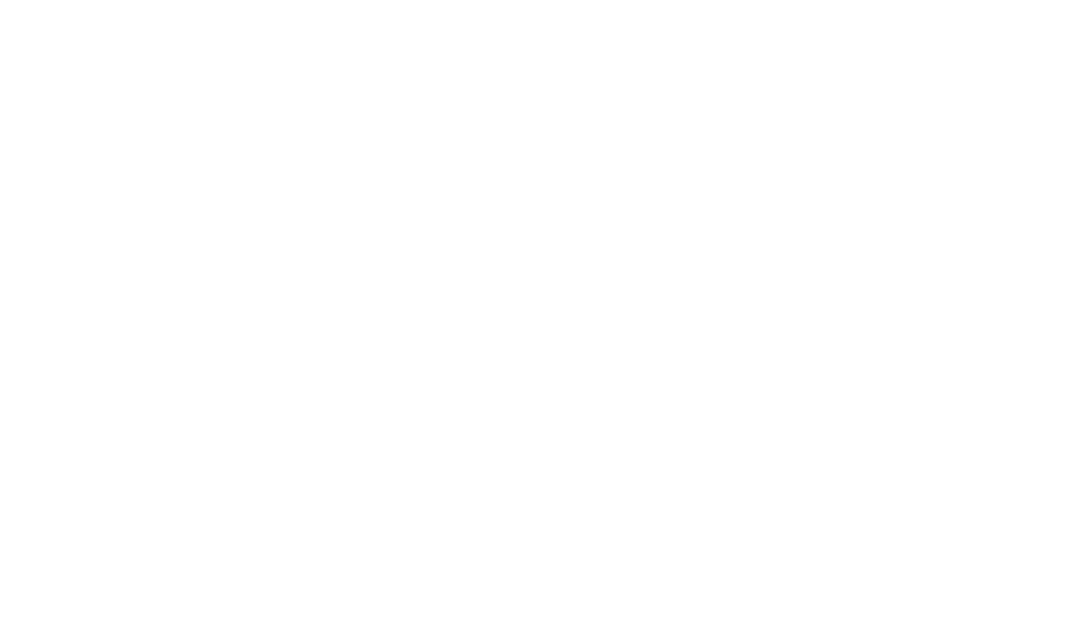 Scoop King